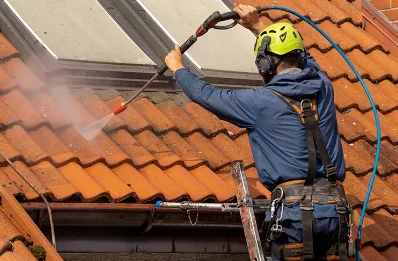 Démoussage et hydrofuge de toiture à Allan